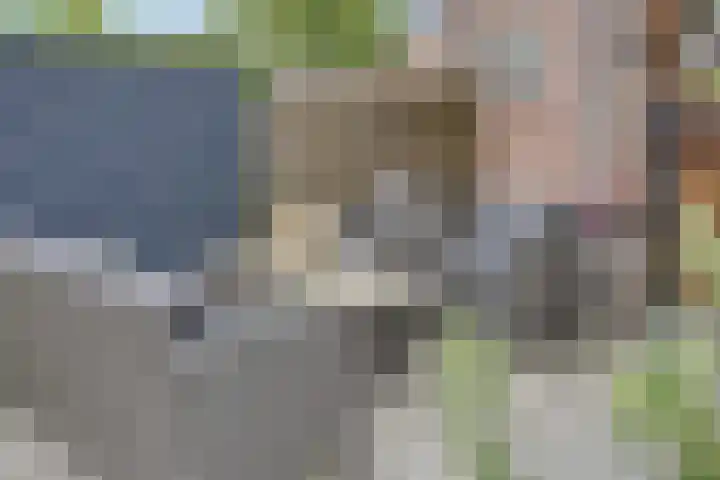 Schimmelpennincklaan 45 Wijhe thumbnail 26