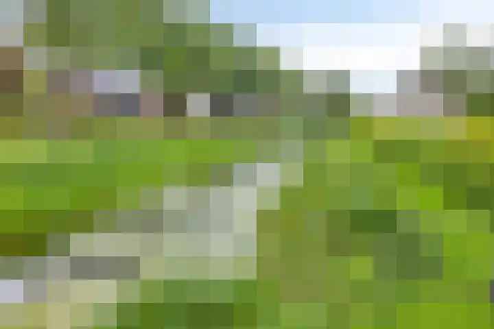 Schimmelpennincklaan 45 Wijhe thumbnail 31