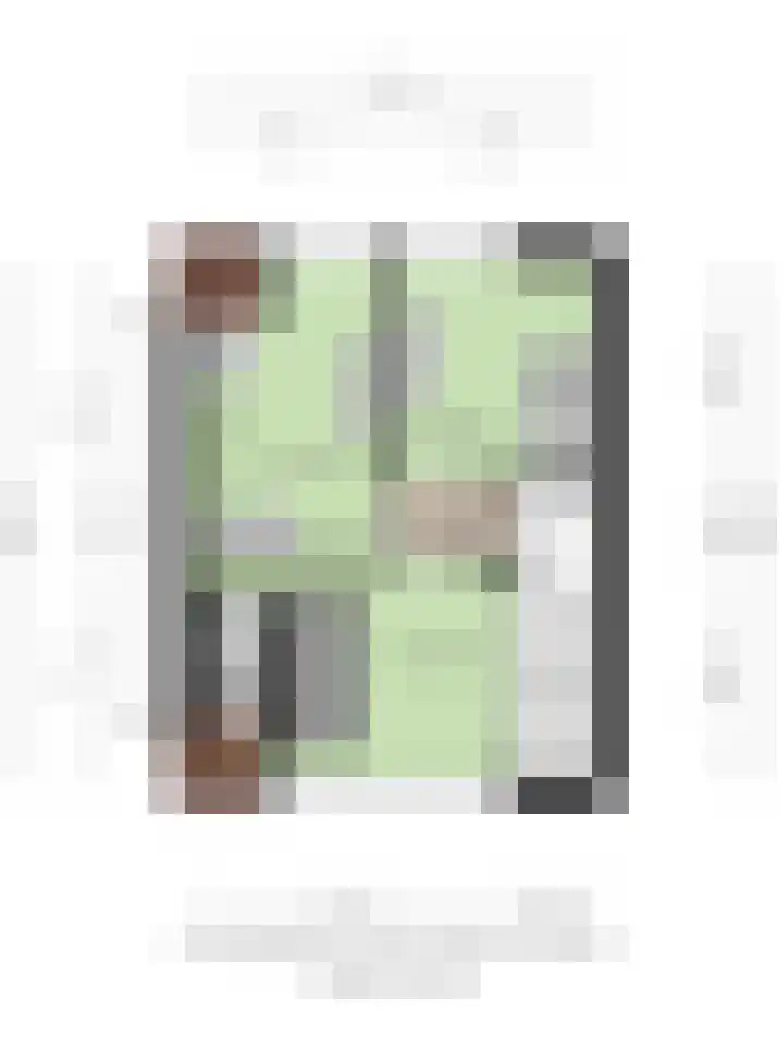 Schimmelpennincklaan 45 Wijhe thumbnail 35