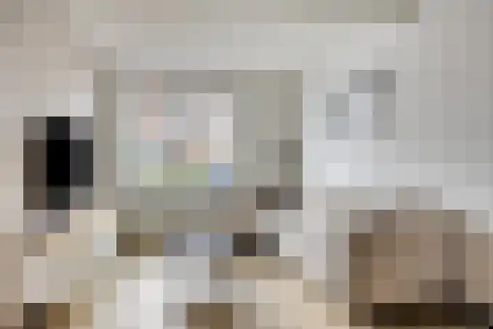 Schimmelpennincklaan 45 Wijhe thumbnail 5