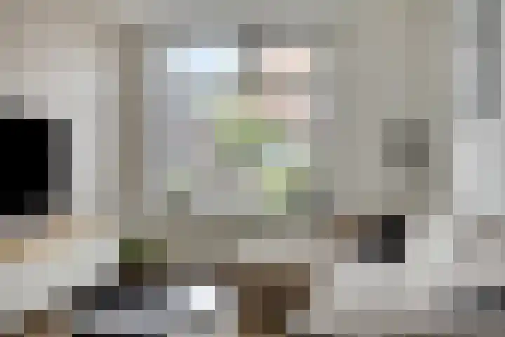 Schimmelpennincklaan 45 Wijhe thumbnail 6
