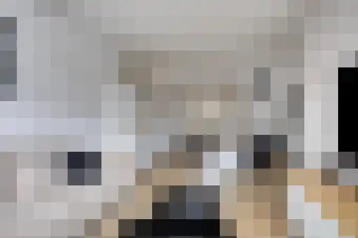 Schimmelpennincklaan 45 Wijhe thumbnail 7