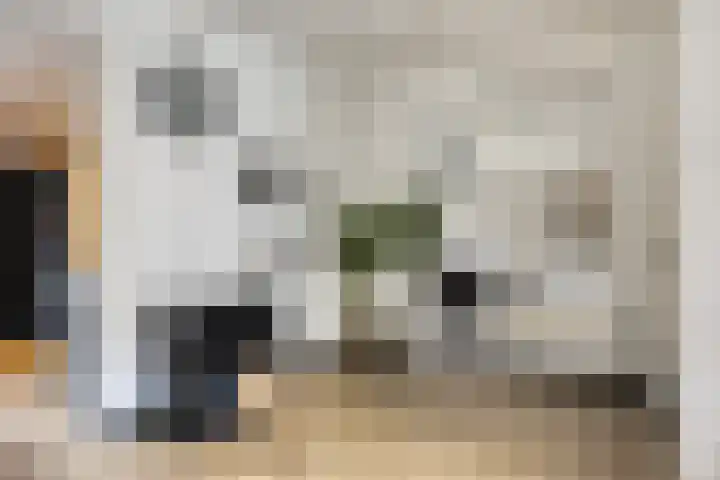 Schimmelpennincklaan 45 Wijhe thumbnail 8