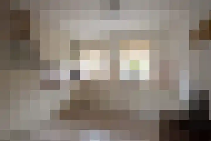 Schimmelpennincklaan 5 Putten thumbnail 11