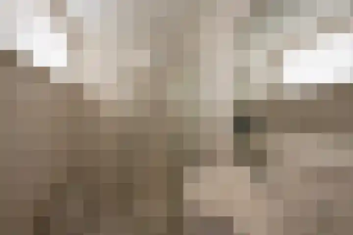 Schimmelpennincklaan 5 Putten thumbnail 16