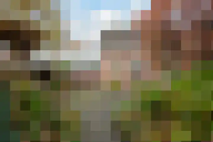 Schimmelpennincklaan 5 Putten thumbnail 25