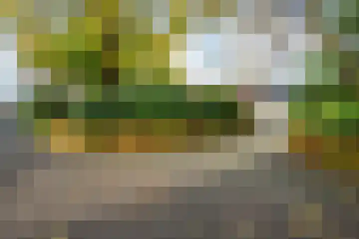 Schimmelpennincklaan 5 Putten thumbnail 27