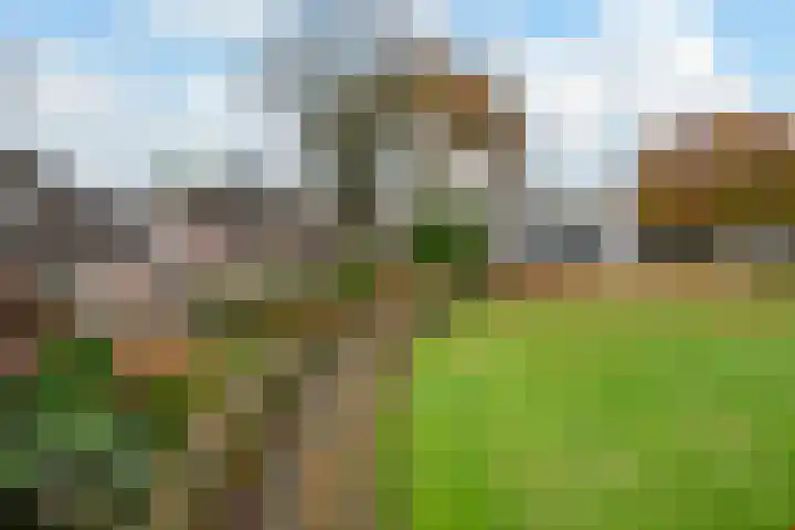Schimmelpennincklaan 5 Putten thumbnail 30