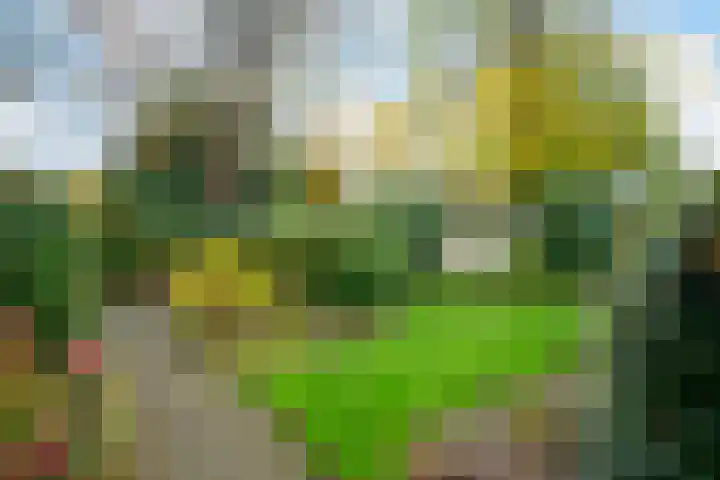 Schimmelpennincklaan 5 Putten thumbnail 5