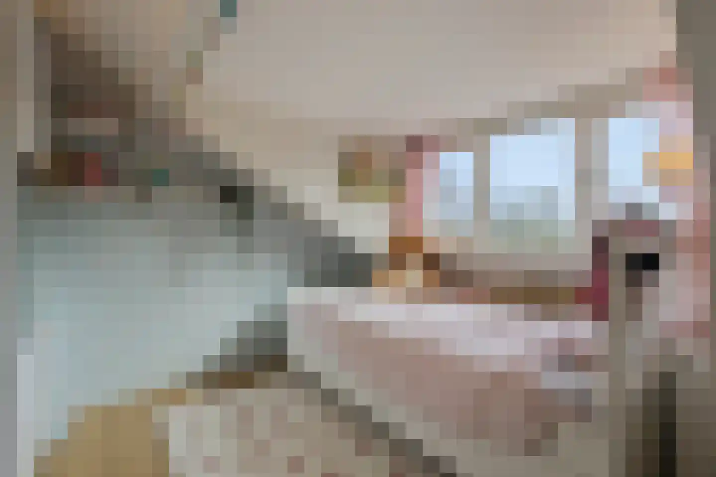 Schimmelpennincklaan 59 Zutphen thumbnail 28