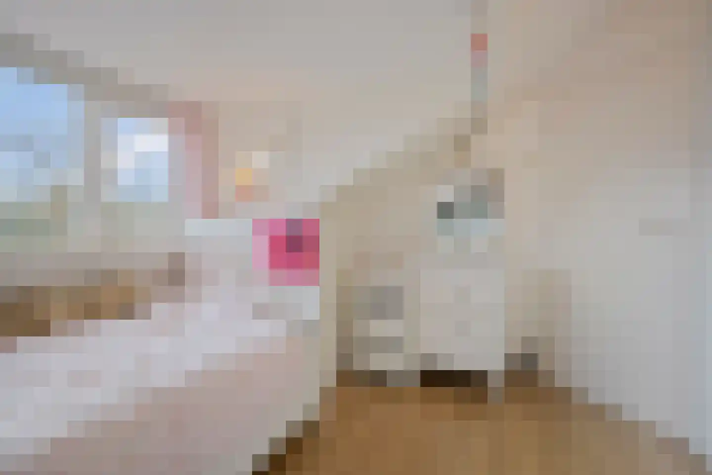 Schimmelpennincklaan 59 Zutphen thumbnail 29