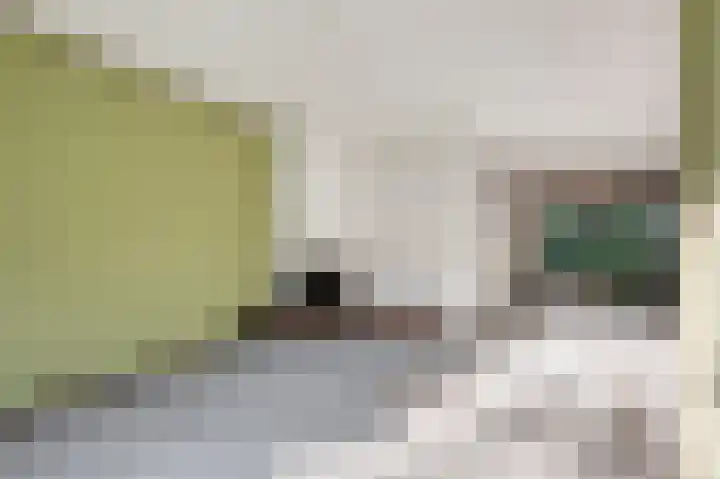 Schimmelpennincklaan 7 Renkum thumbnail 12