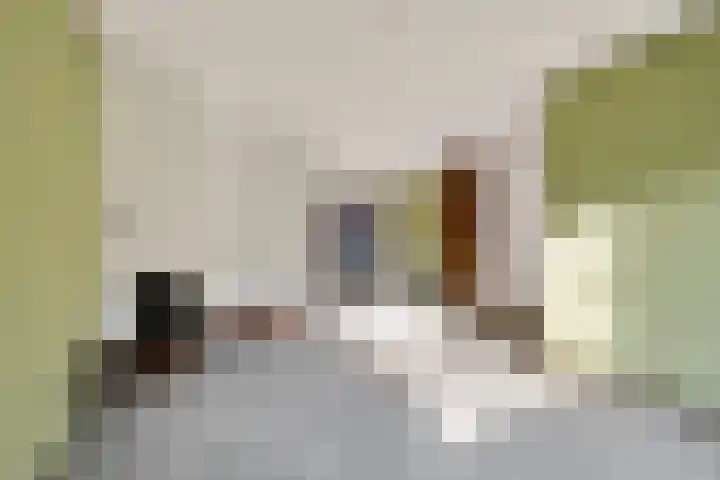 Schimmelpennincklaan 7 Renkum thumbnail 13