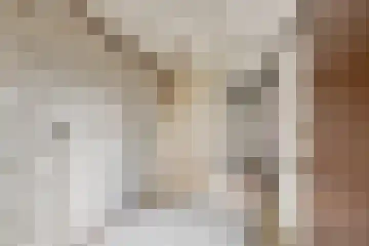 Schimmelpennincklaan 7 Renkum thumbnail 17