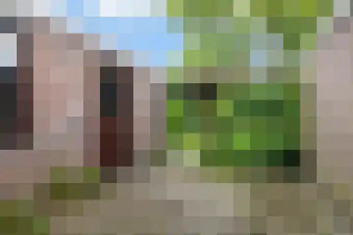 Schimmelpennincklaan 7 Renkum thumbnail 19
