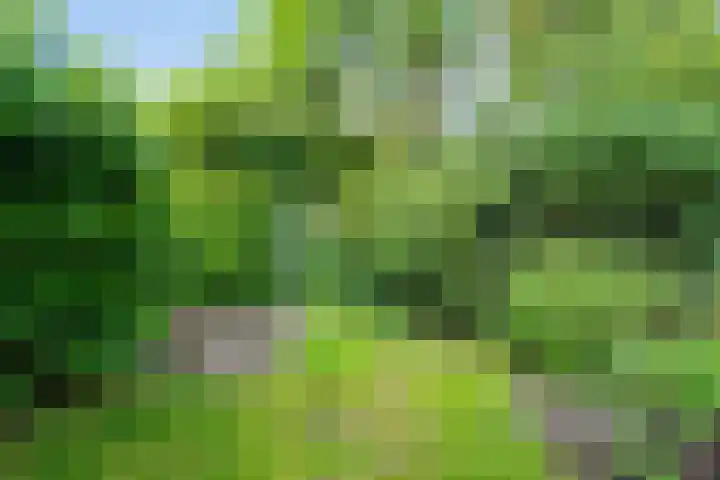 Schimmelpennincklaan 7 Renkum thumbnail 21