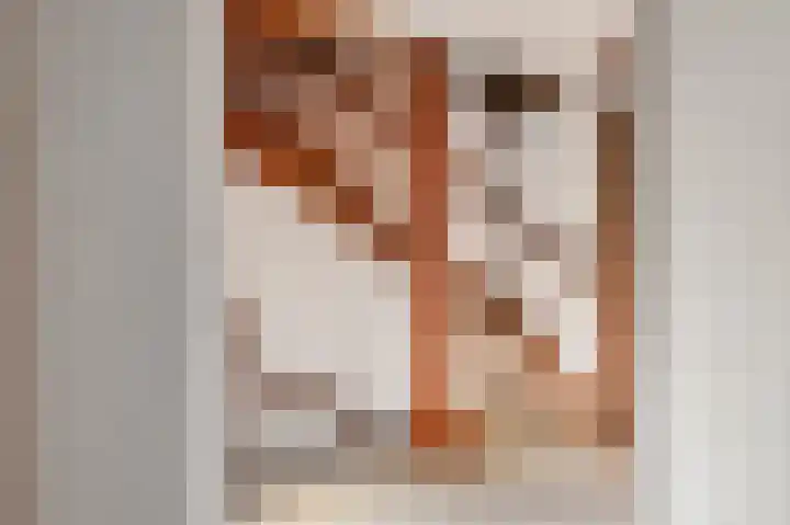 Schimmelpennincklaan 7 Renkum thumbnail 22