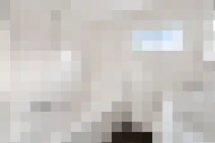 Schimmelpennincklaan 7 Renkum thumbnail 32