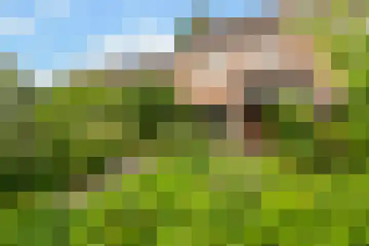 Schimmelpennincklaan 7 Renkum thumbnail 6
