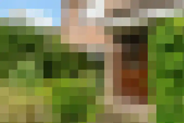 Schimmelpennincklaan 7 Renkum thumbnail 7