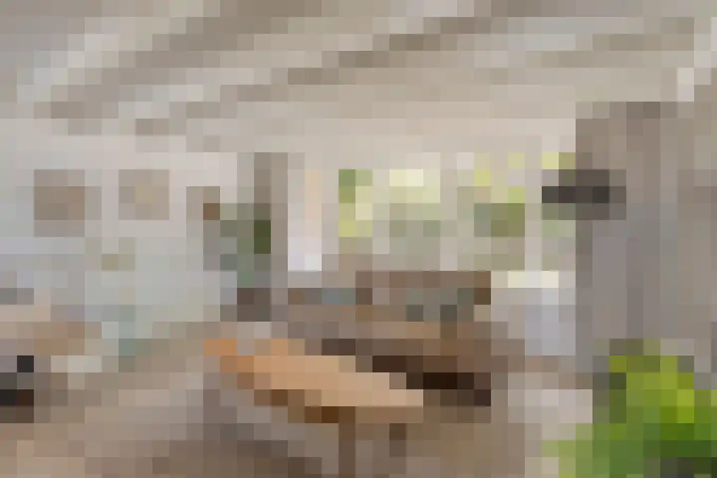 Schimmelpennincklaan 74 Etten-Leur thumbnail 13