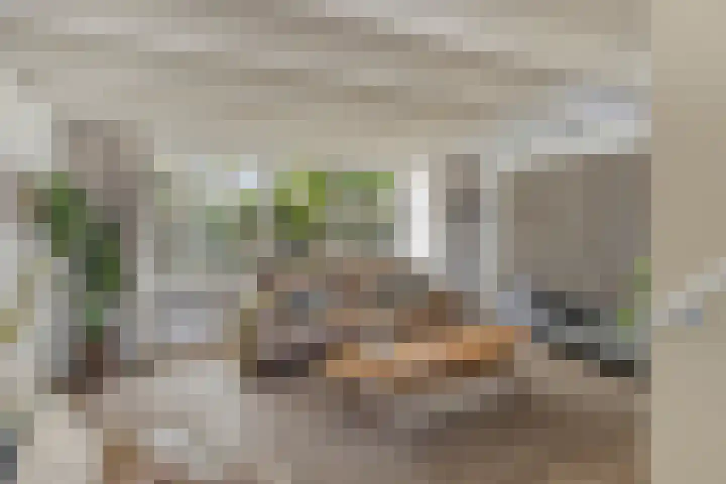 Schimmelpennincklaan 74 Etten-Leur thumbnail 14