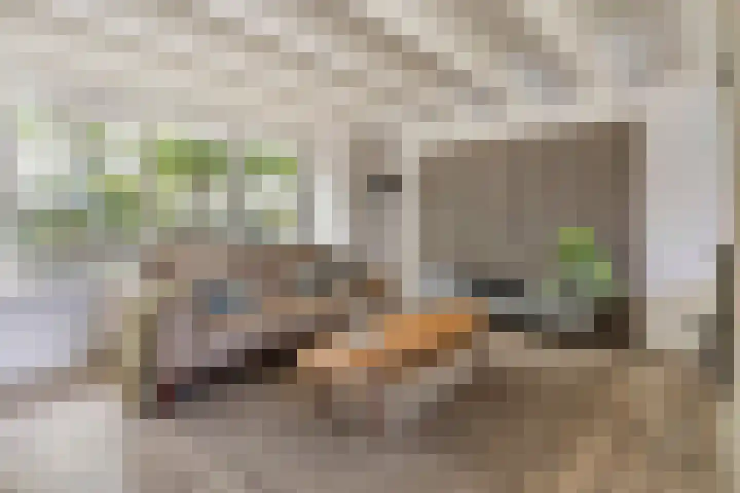 Schimmelpennincklaan 74 Etten-Leur thumbnail 15