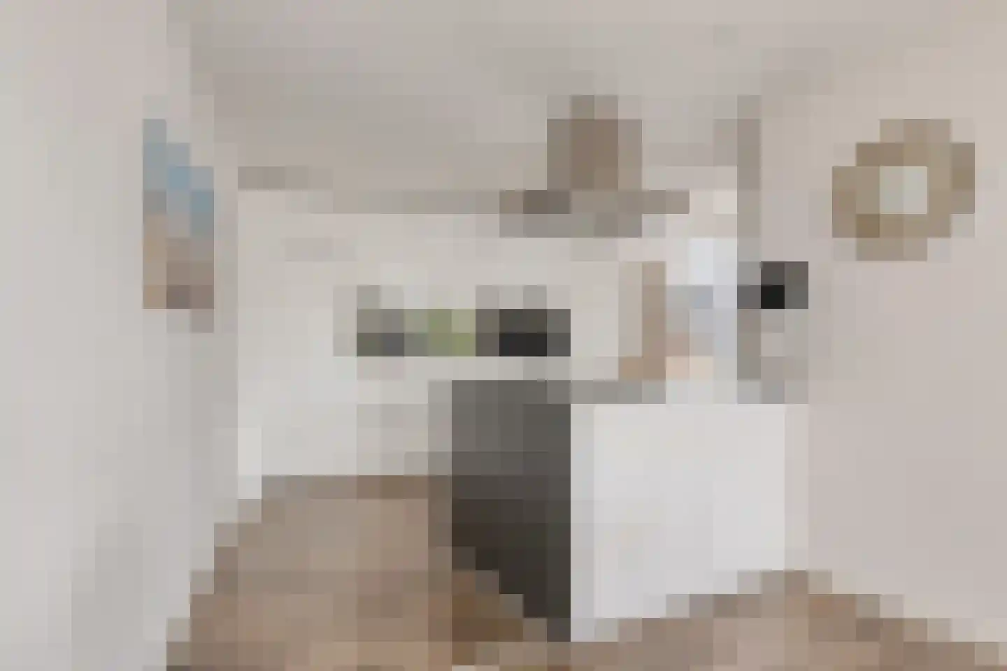 Schimmelpennincklaan 74 Etten-Leur thumbnail 30