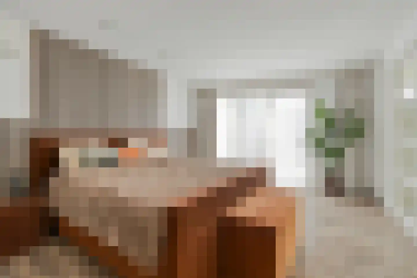 Schimmelpennincklaan 74 Etten-Leur thumbnail 37