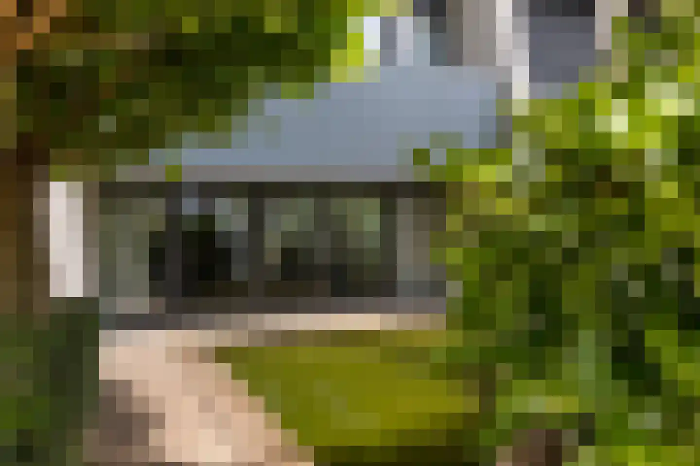 Schimmelpennincklaan 74 Etten-Leur thumbnail 9
