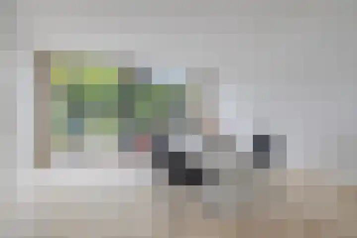 Schimmelpennincklaan 78 Etten-Leur thumbnail 10
