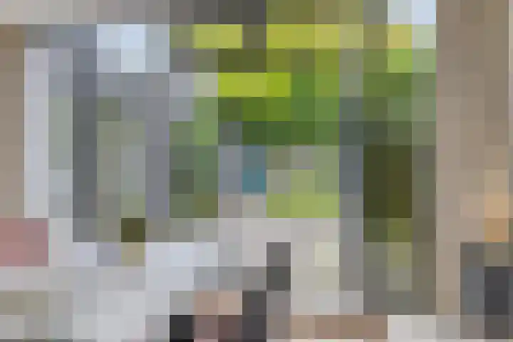 Schimmelpennincklaan 78 Etten-Leur thumbnail 11