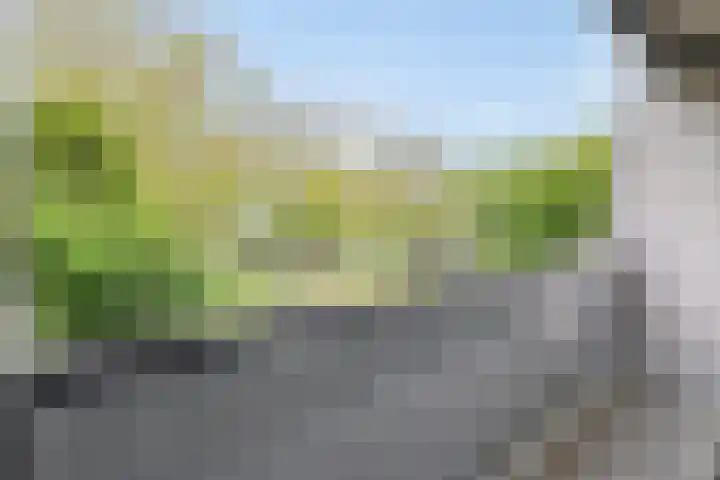 Schimmelpennincklaan 78 Etten-Leur thumbnail 14