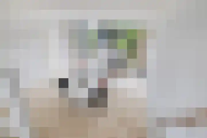 Schimmelpennincklaan 78 Etten-Leur thumbnail 15