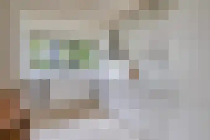 Schimmelpennincklaan 78 Etten-Leur thumbnail 17