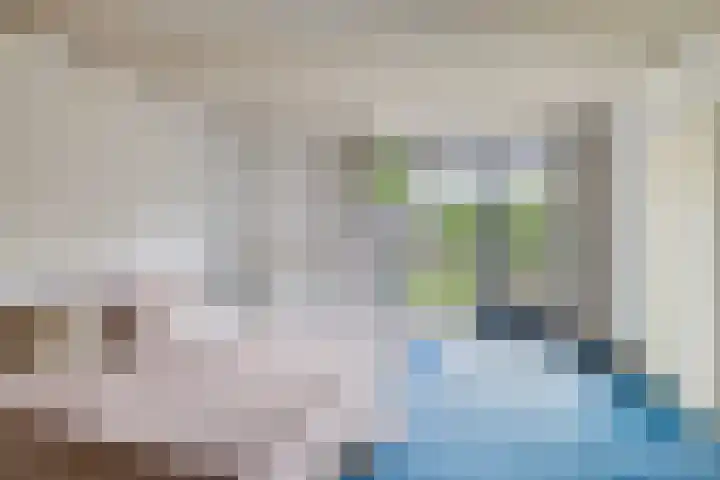 Schimmelpennincklaan 78 Etten-Leur thumbnail 21