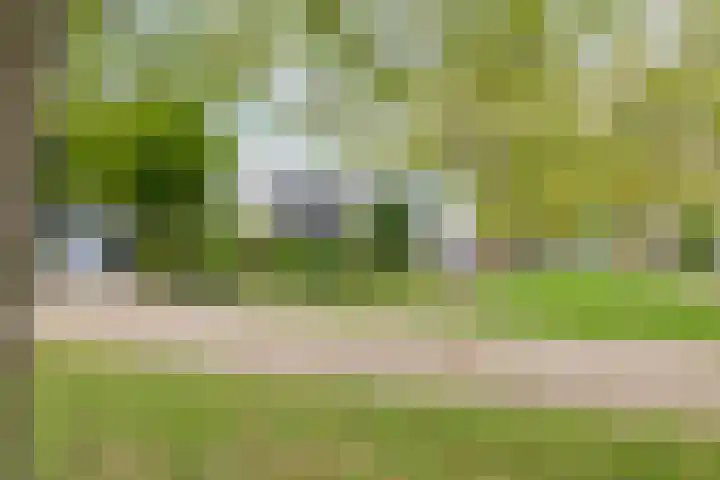 Schimmelpennincklaan 78 Etten-Leur thumbnail 32