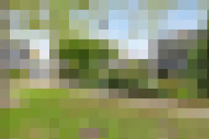 Schimmelpennincklaan 78 Etten-Leur thumbnail 34