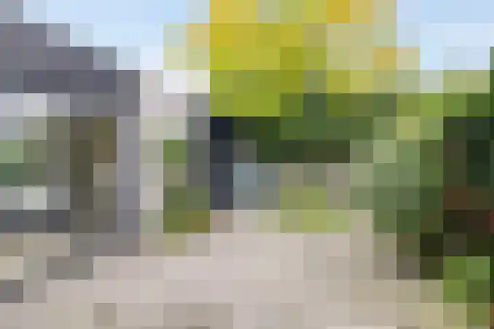 Schimmelpennincklaan 78 Etten-Leur thumbnail 4