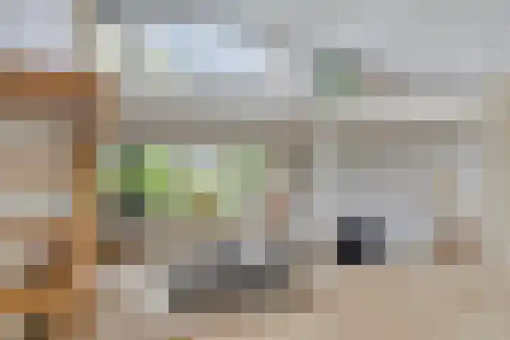 Schimmelpennincklaan 78 Etten-Leur thumbnail 7