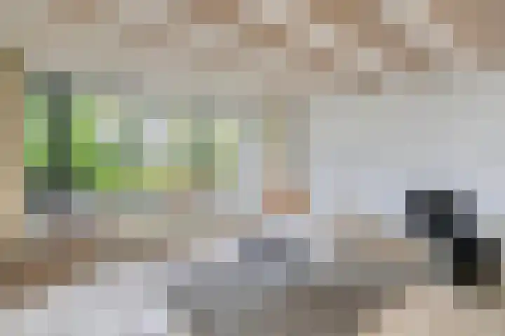 Schimmelpennincklaan 78 Etten-Leur thumbnail 8