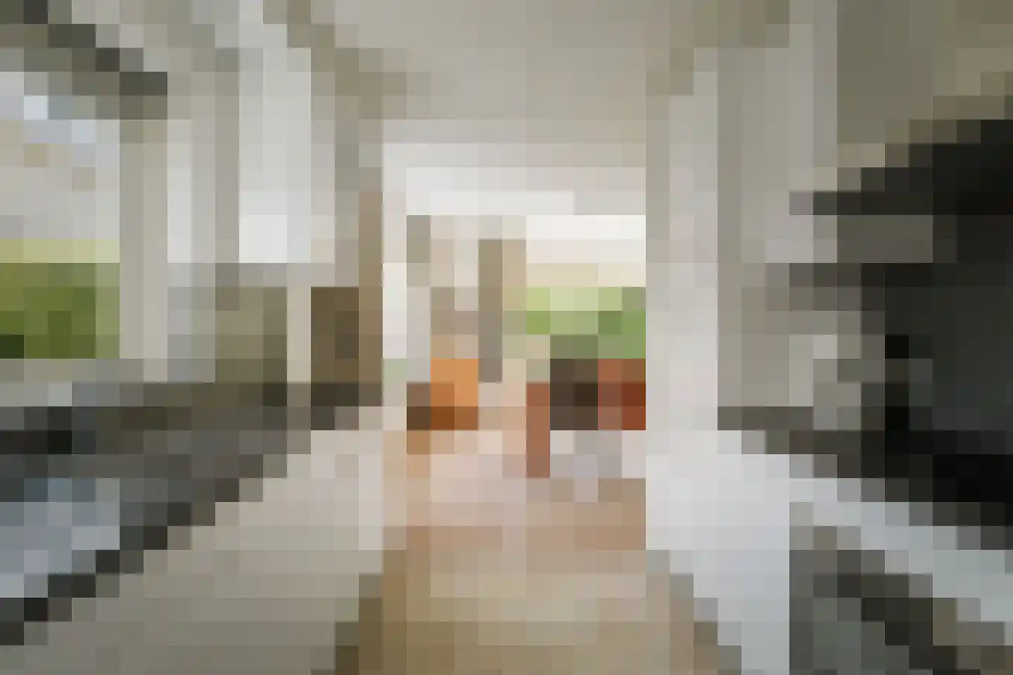 Schimmelpennincksingel 14 Diepenveen thumbnail 12