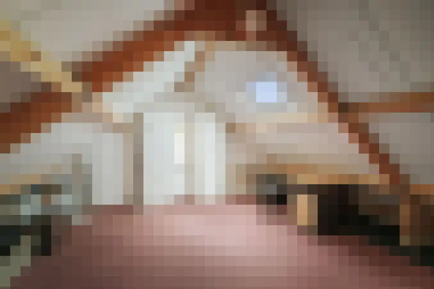 Schimmelpennincksingel 14 Diepenveen thumbnail 32
