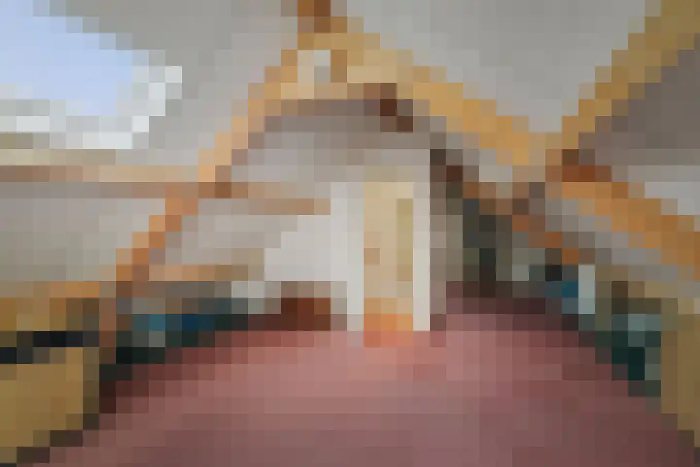 Schimmelpennincksingel 14 Diepenveen thumbnail 33