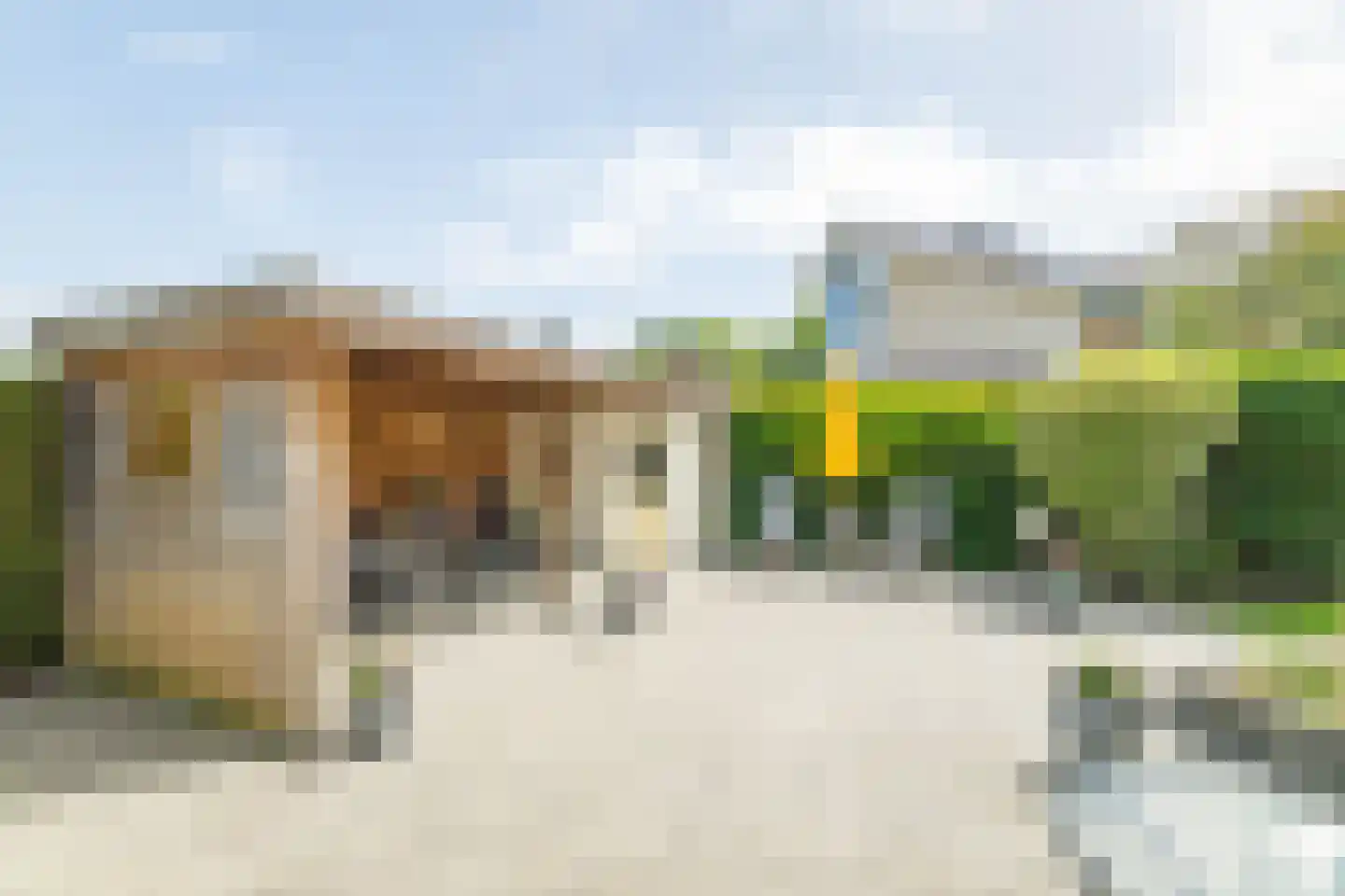 Schimmelpennincksingel 14 Diepenveen thumbnail 46