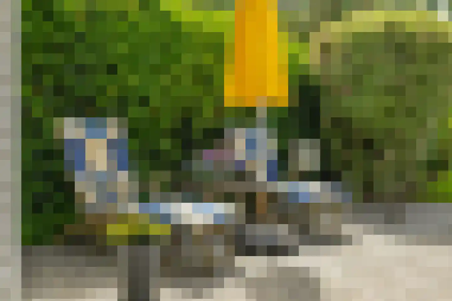 Schimmelpennincksingel 14 Diepenveen thumbnail 48