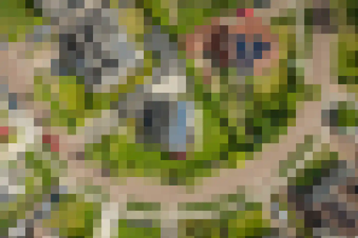 Schimmelpennincksingel 14 Diepenveen thumbnail 52