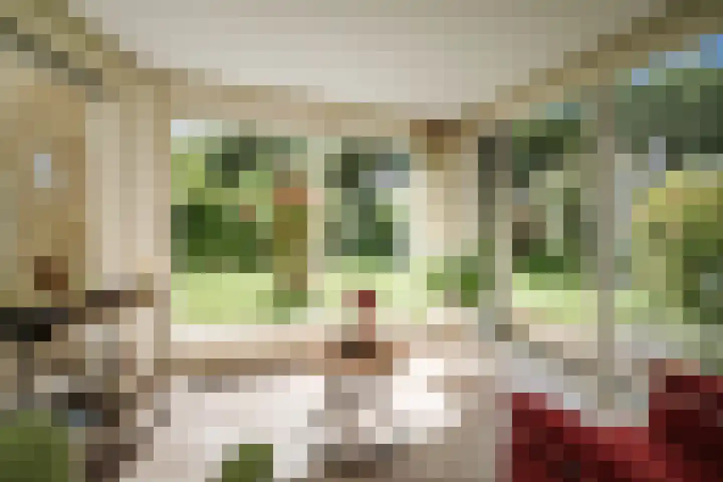 Schimmelpennincksingel 14 Diepenveen thumbnail 6