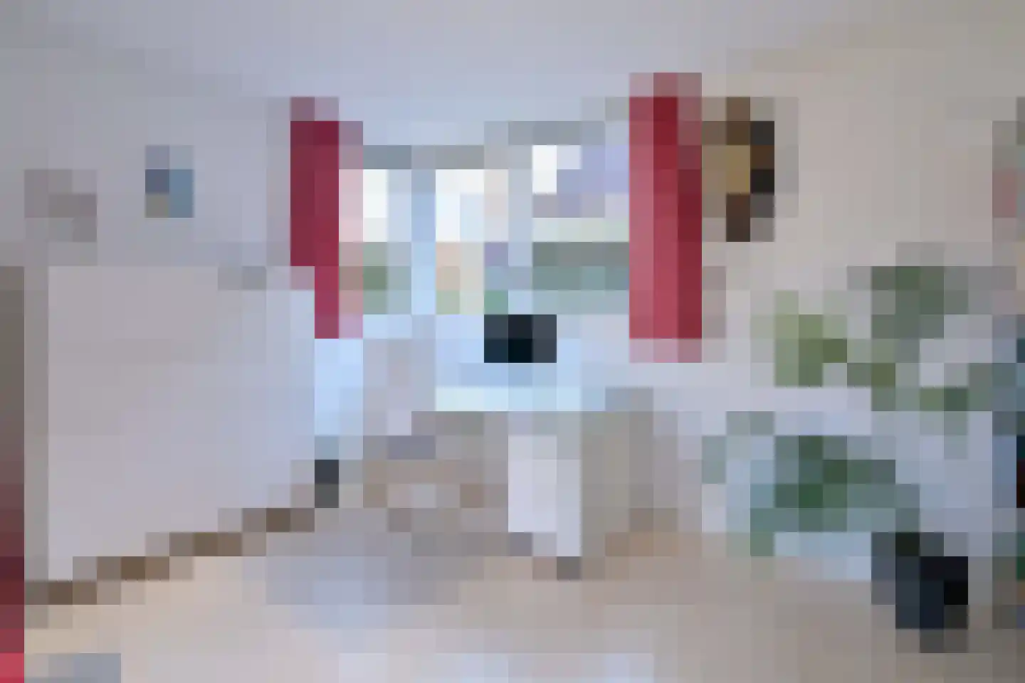 Schimmelpennincksingel 2 Diepenveen thumbnail 13