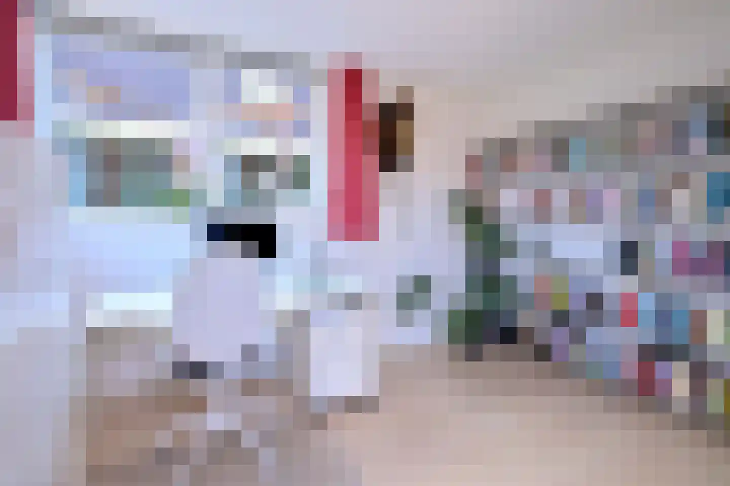 Schimmelpennincksingel 2 Diepenveen thumbnail 14